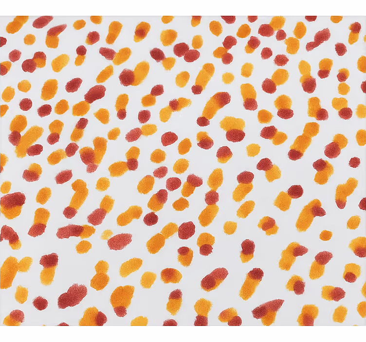Rollo Fenster Jugenzimmer orange und rote punkte - TenStickers
