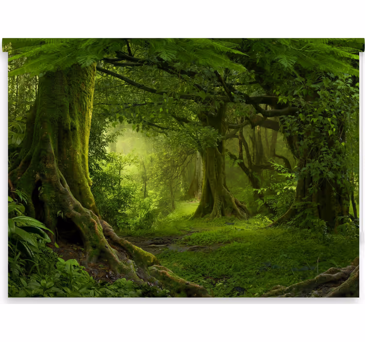 Rollo fenster bäume für eine üppige wald-oase - TenStickers