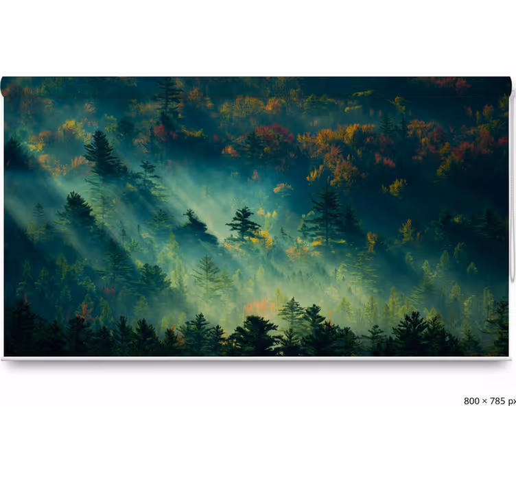 Rollo fenster bäume der stimmungsvoller wald - TenStickers