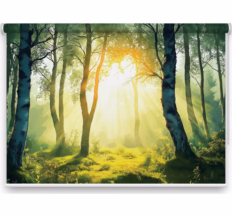 Rollo fenster bäume sonnenverwöhnte birke wandbild - TenStickers