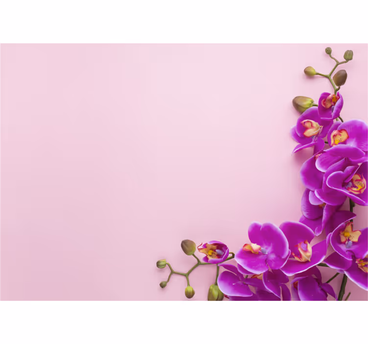 Küchenfenster rollo mit pinkem orchideen hintergrund - TenStickers