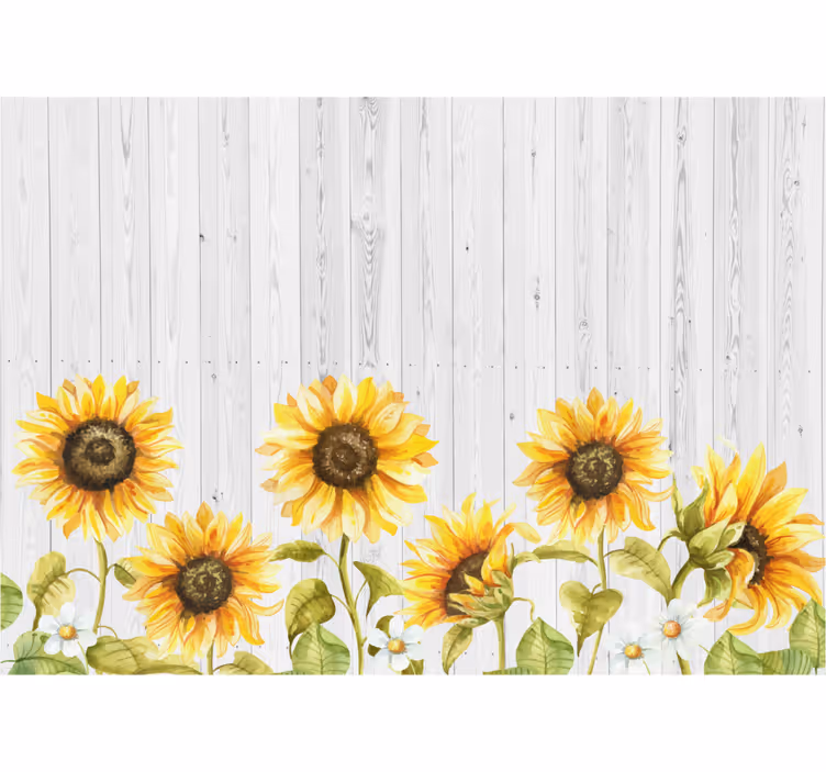 Küchenfenster rollo sonnenblumen auf grauen dielen - TenStickers
