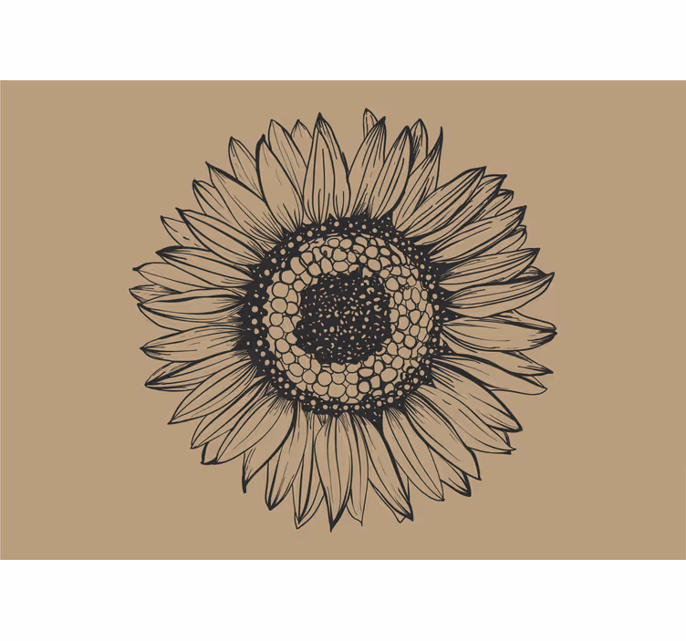 Küchenfenster rollo beige sonnenblume - TenStickers
