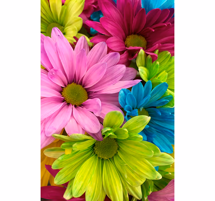 Rollo wohnzimmer mit bunten blumen - TenStickers