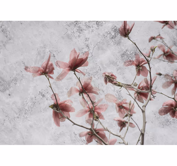 Rollo wohnzimmer elegantes glamour design magnolia - TenStickers
