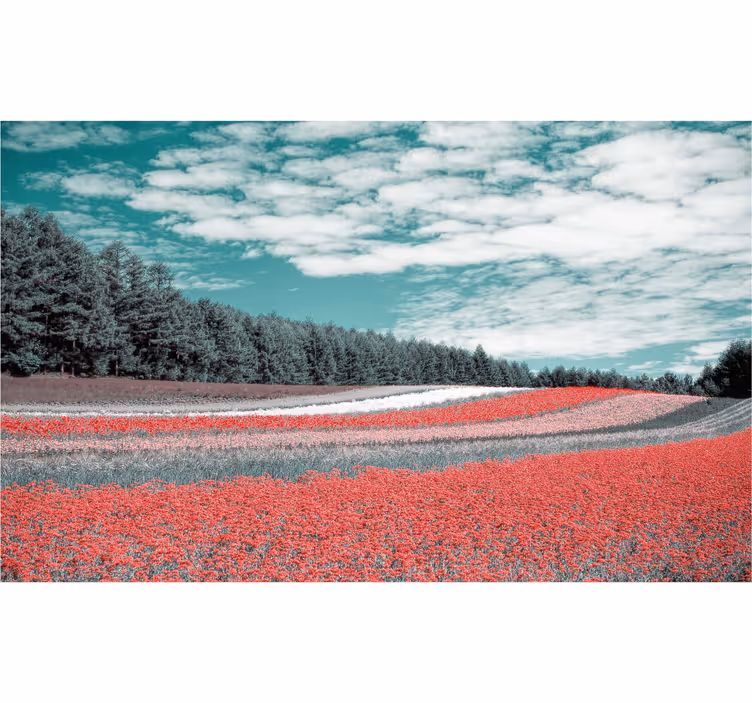 Rollo wohnzimmer verschiedene blumenwiesen - TenStickers