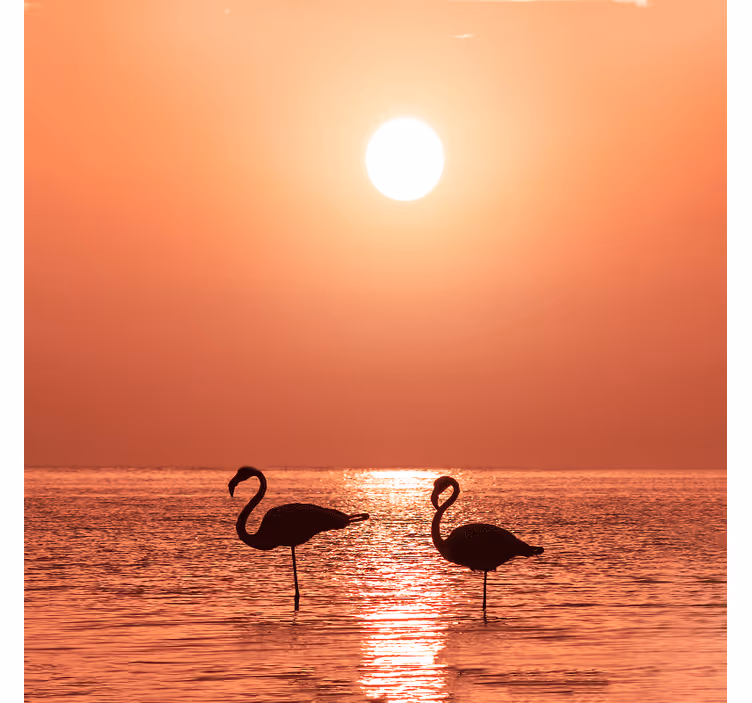 Rollo wohnzimmer schöner flamingo mit sonnenuntergang - TenStickers