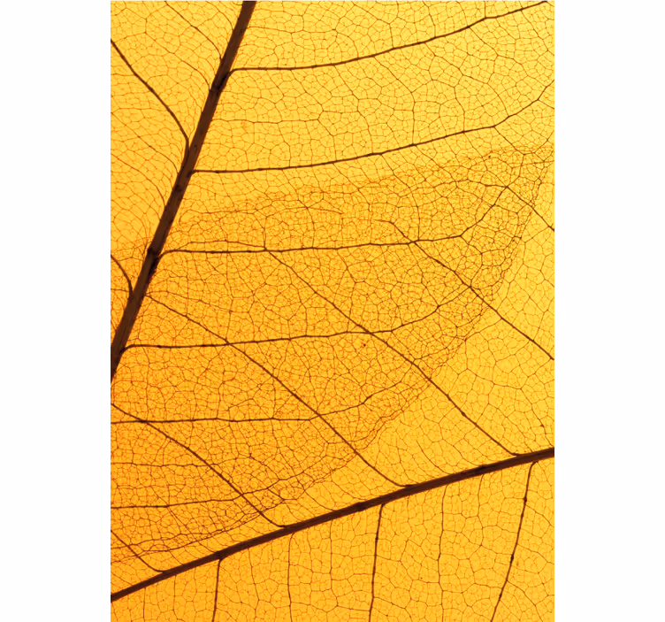 Rollo fenster gelb mit botanischem blattdesign - TenStickers