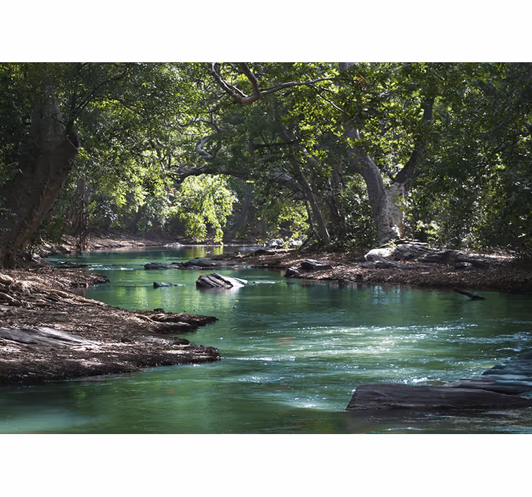 Rollo wohnzimmer wald und fluss - TenStickers