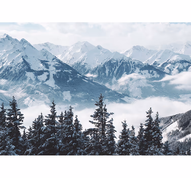 Rollo wohnzimmer schneebedeckte berge und bäume - TenStickers