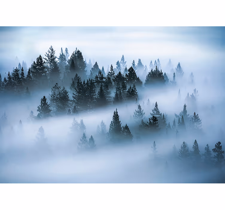 Rollo wohnzimmer morgendlicher nebel - TenStickers