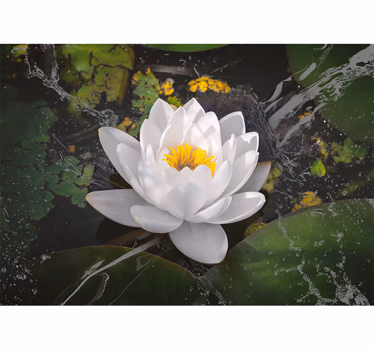 Rollo wohnzimmer in weiß und gelb lotus - TenStickers
