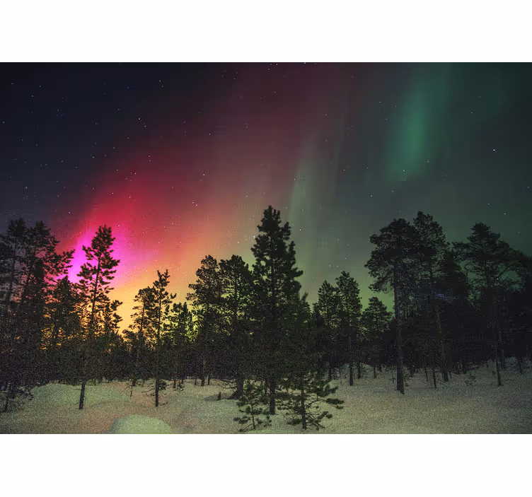 Rollo wohnzimmer nordlichter über bäume - TenStickers