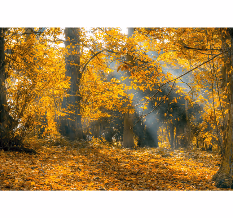 Rollo wohnzimmer goldener herbst - TenStickers