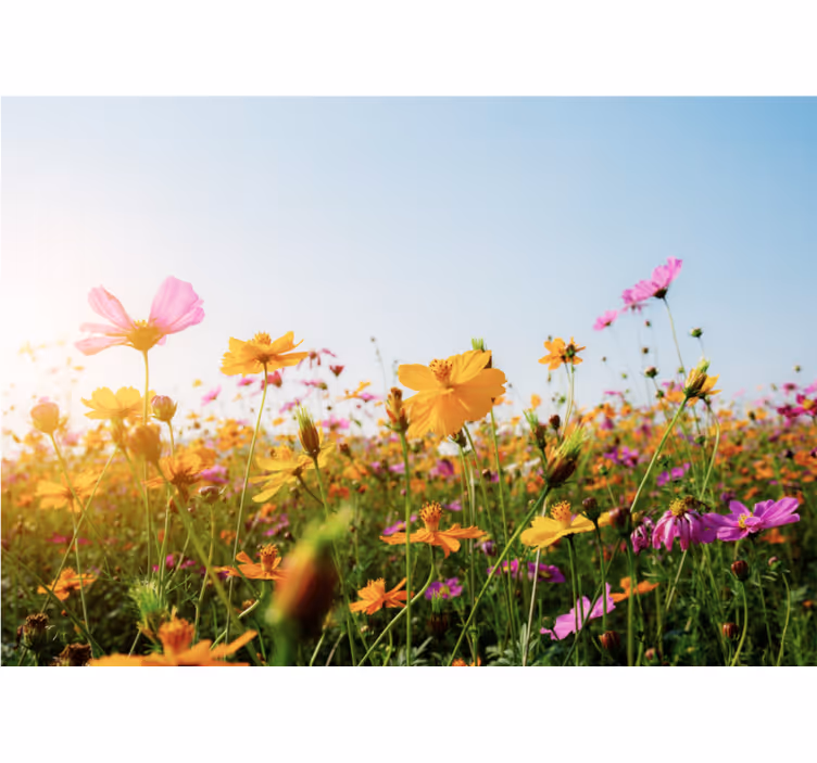 Rollo wohnzimmer mit blumenmischung - TenStickers