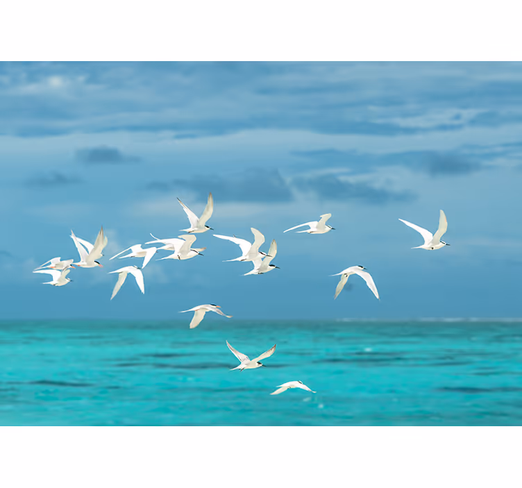 Rollo wohnzimmer vögel im flug - TenStickers