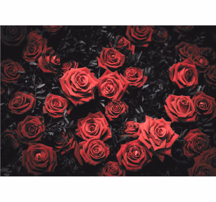 Rollo wohnzimmer schwarz-weiß mit roten rosen - TenStickers
