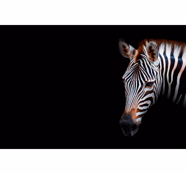 Rollo wohnzimmer zebra muster - TenStickers