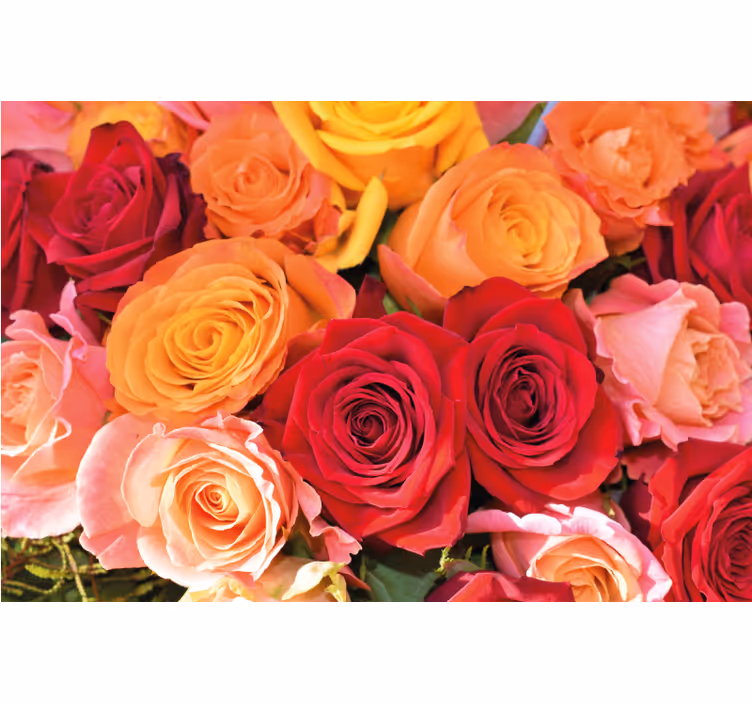 Rollo wohnzimmer rosen und verschiedene blumen - TenStickers