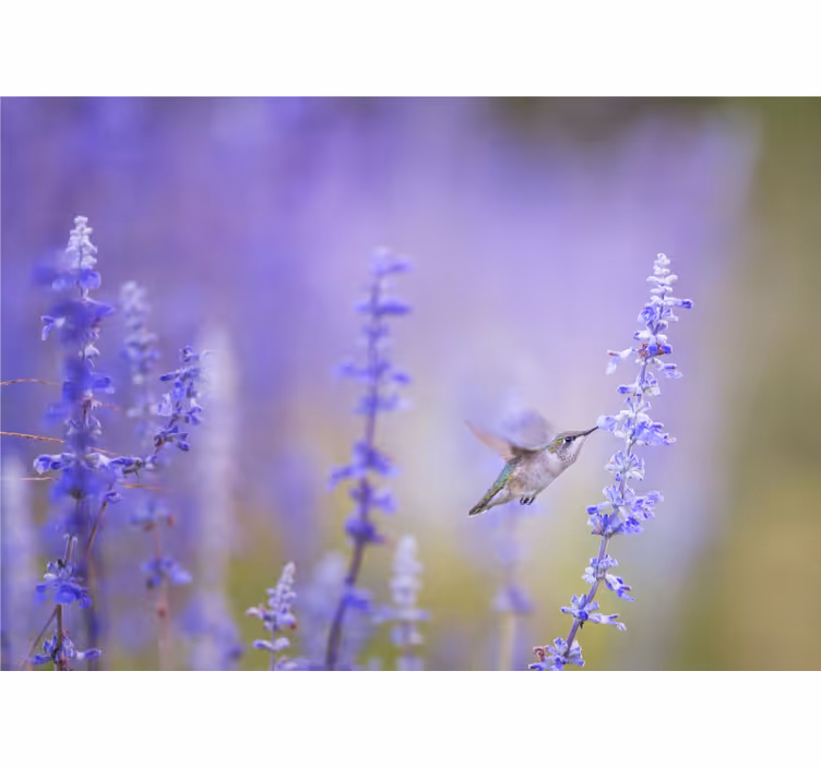 Rollo wohnzimmer blumen mit vogel - TenStickers