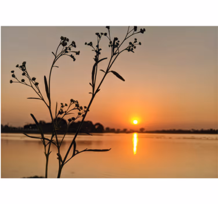 Rollo wohnzimmer sonnenuntergang am see - TenStickers