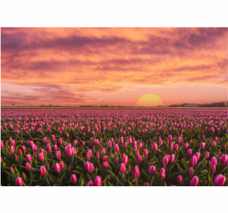 Rollo wohnzimmer sonnenaufgang und tulpen - TenStickers