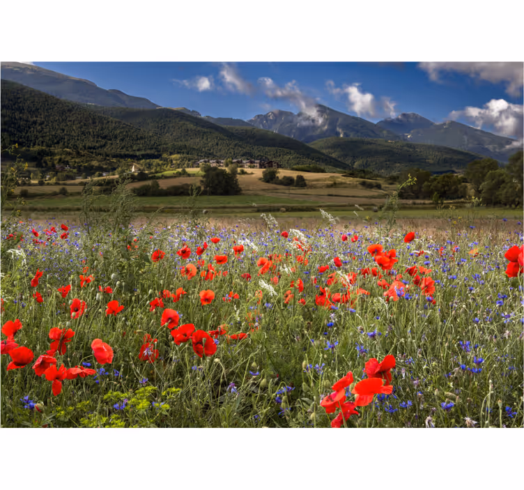 Rollo wohnzimmer hübsches wiesengebiet mit blumen - TenStickers