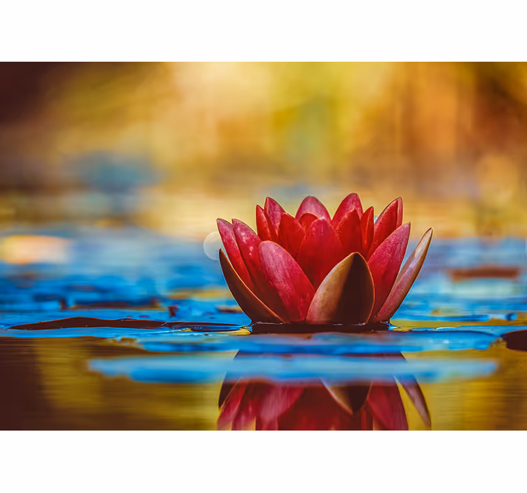 Rollo wohnzimmer zen reflektierte lotusblume - TenStickers