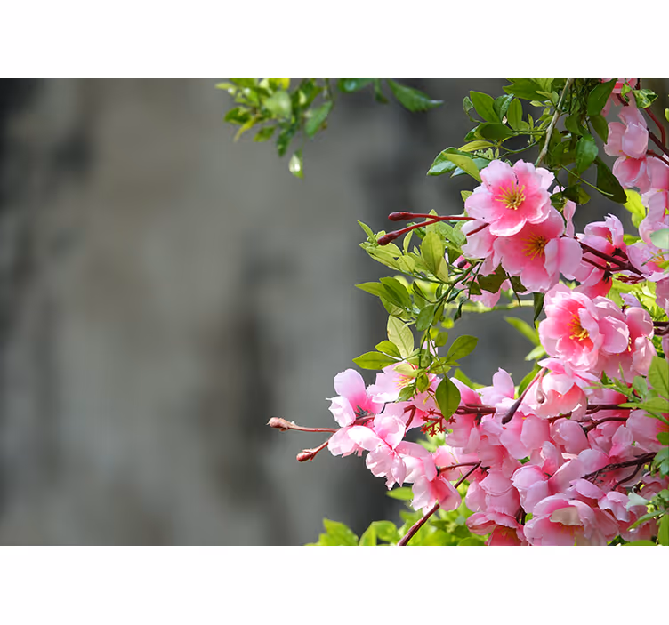 Rollo wohnzimmer mit 3d rosa blumen - TenStickers