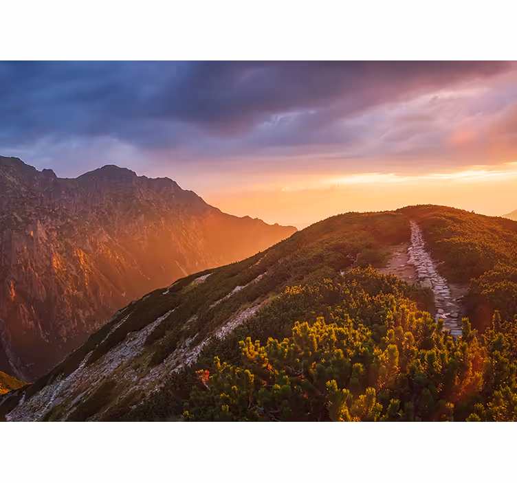 Rollo wohnzimmer zakopane nachtgebirge - TenStickers