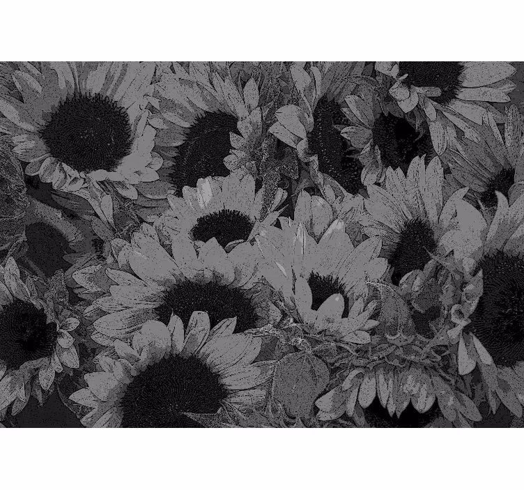 Rollo wohnzimmer sonnenblumen schwarz weiß - TenStickers