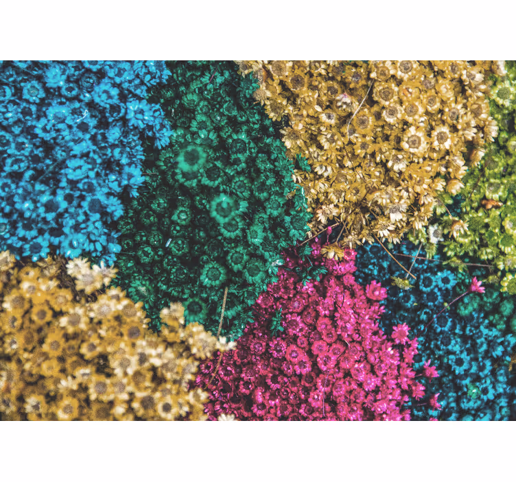 Rollo wohnzimmer regenbogen-gänseblümchen - TenStickers