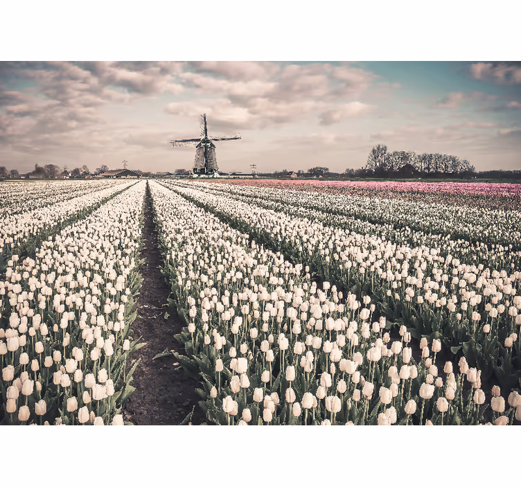 Rollo wohnzimmer tulpenfeld mit windmühle - TenStickers