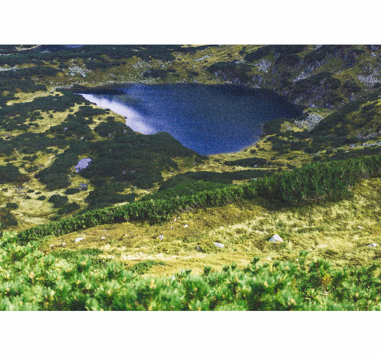 Rollo wohnzimmer in grün polnische tatra - TenStickers