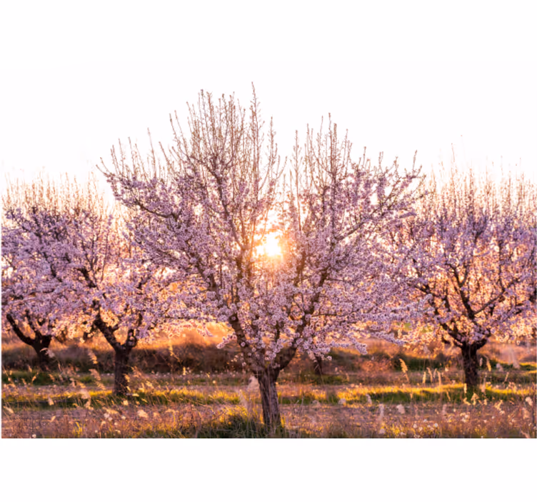 Rollo wohnzimmer pinke landschaft mit blumen - TenStickers