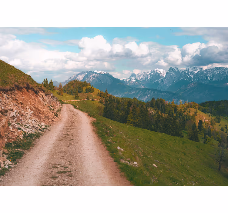 Rollo wohnzimmer spaziergang im wald - TenStickers
