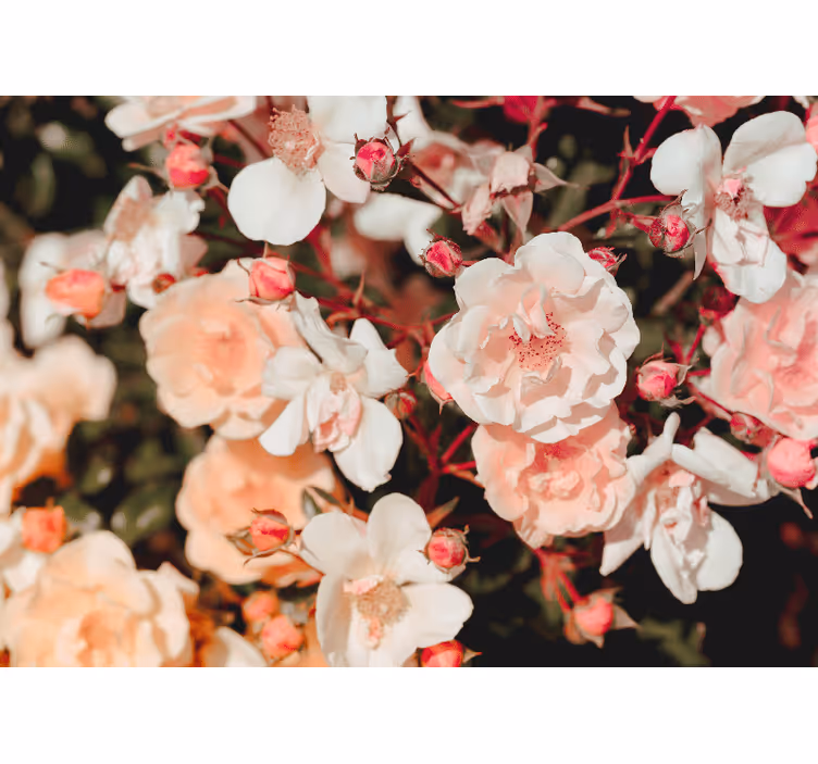 Rollo wohnzimmer mit vielen blumen - TenStickers
