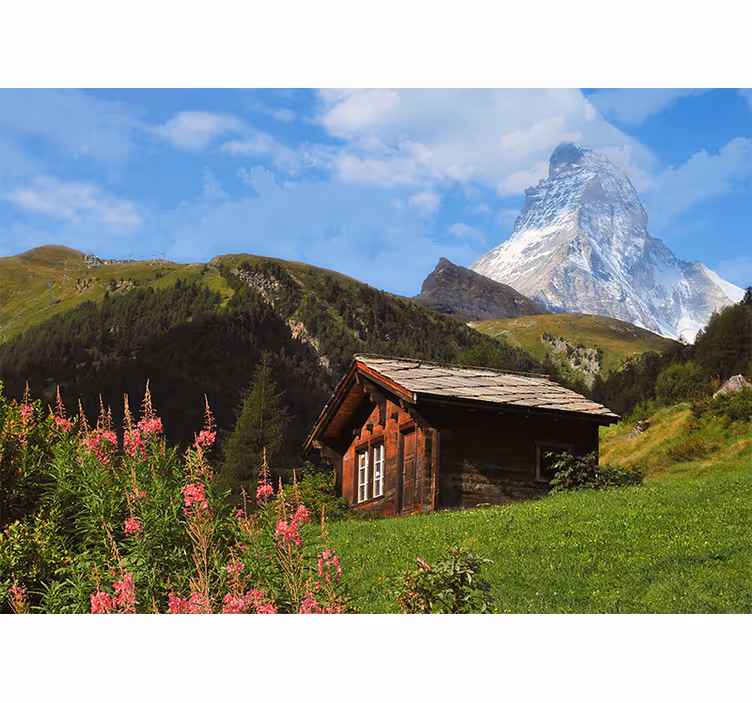Rollo wohnzimmer grünes feld mit holzschuppen und berg - TenStickers