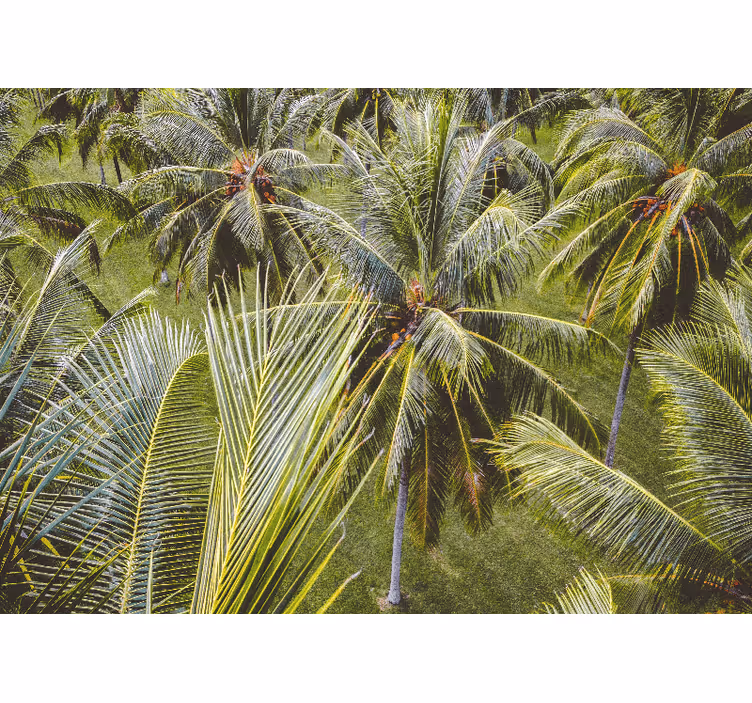 Rollo wohnzimmer grüner palmenwald landschaft - TenStickers