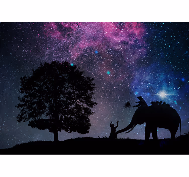 Rollo wohnzimmer elefant im sternenhimmel - TenStickers