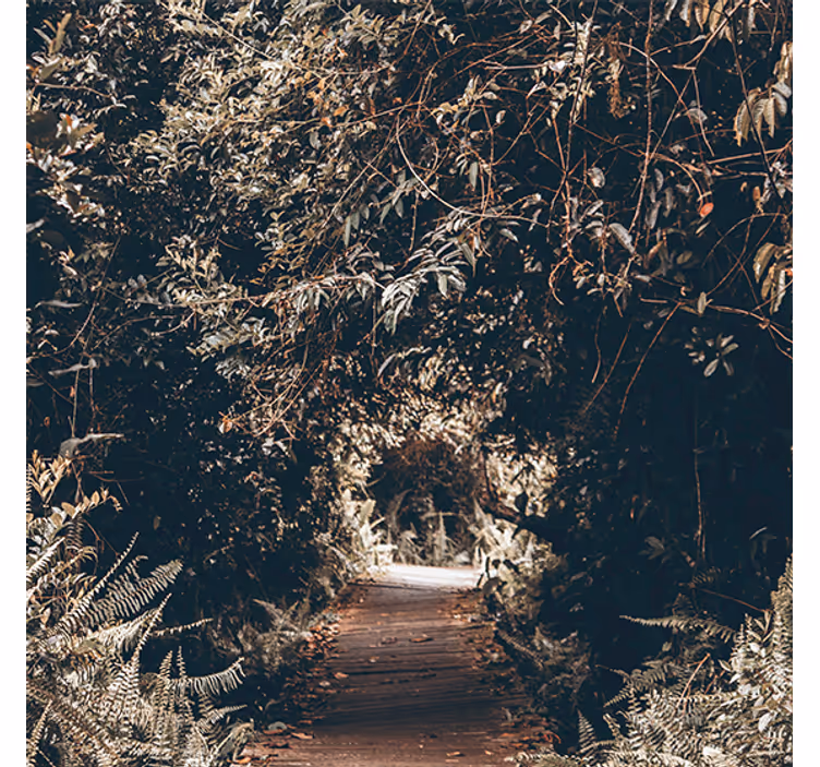 Rollo wohnzimmer naturtunnel zum wald - TenStickers