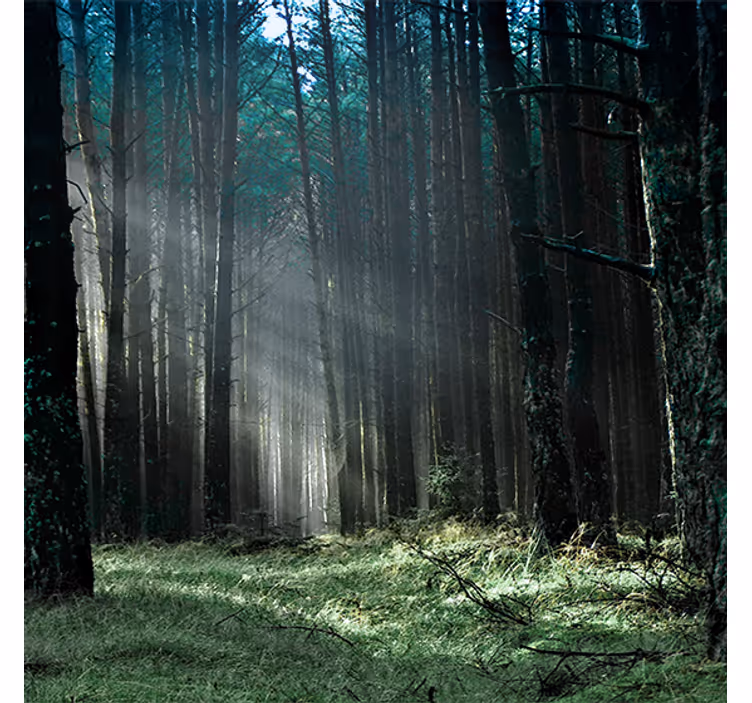 Rollo wohnzimmer nebelwald in blau natur - TenStickers