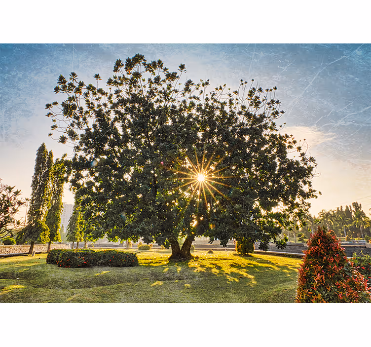 Rollo wohnzimmer sommergrün im sonnigen park - TenStickers