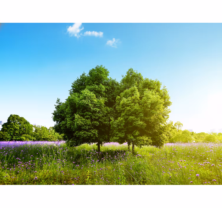 Rollo wohnzimmer hoher frühling baum - TenStickers