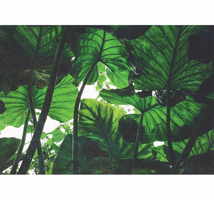 Rollo fenster schlafzimmer im schönen dschungeldesign - TenStickers