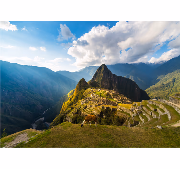 Rollo fenster schlafzimmer mit machu picchu blick und glanz - TenStickers