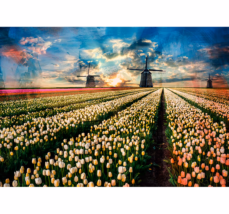 Rollo fenster schlafzimmer mit holländischen tulpen - TenStickers