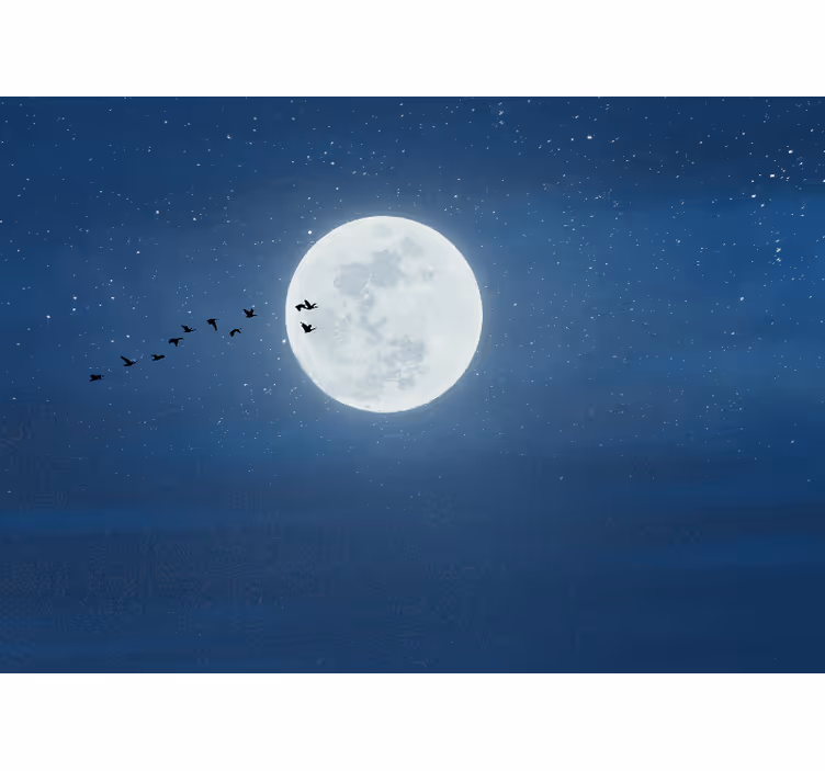 Rollo wohnzimmer vollmond und himmel - TenStickers