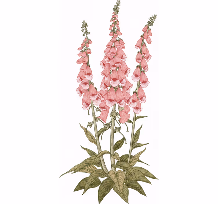 Rollo wohnzimmer mit rosa blumen - TenStickers
