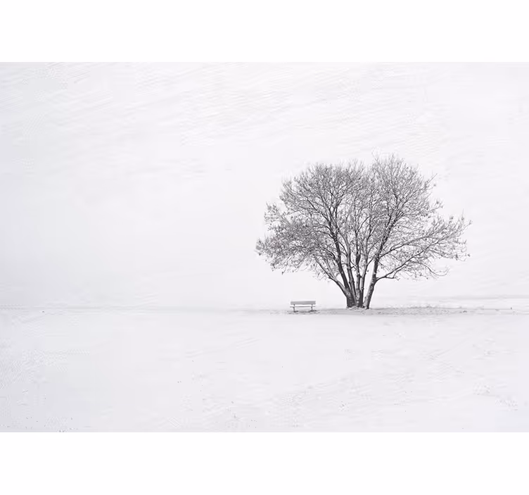 Rollo fenster weiß im skandinavischen winterdesign - TenStickers